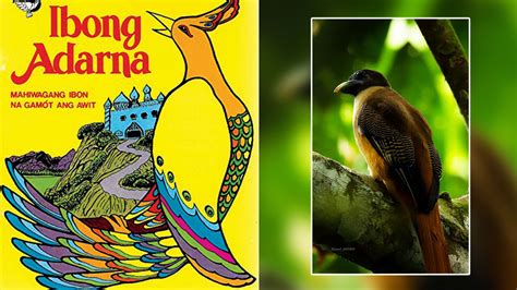  Ang Ibong Adarna: Une Odyssée Féerique au Cœur des Philippines Anciennes !